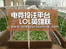 环境展示五