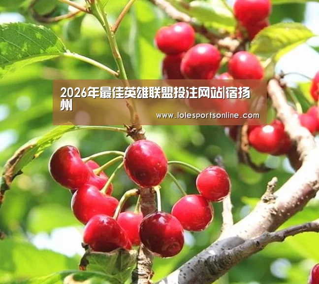 2026年最佳英雄联盟投注网站|宿扬州(图2) 电竞赛事