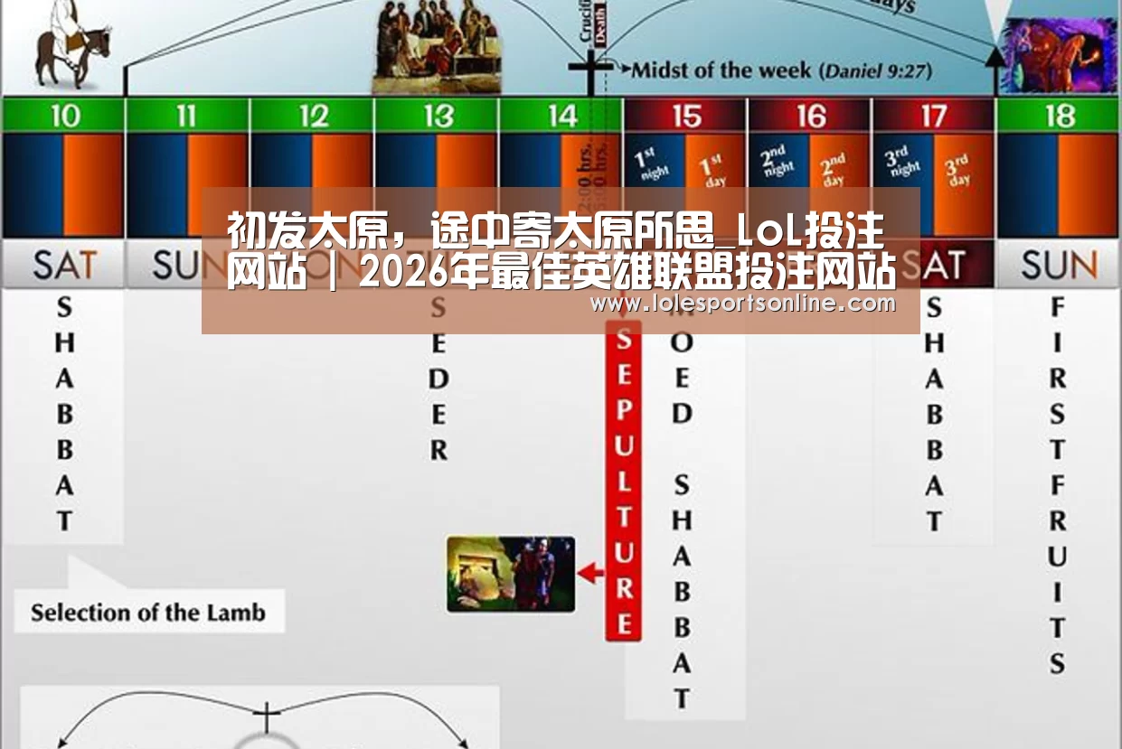 LoL投注网站官网